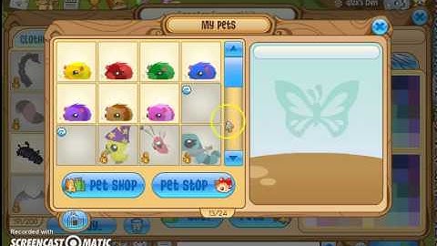 What Happens When Your Membership Expires