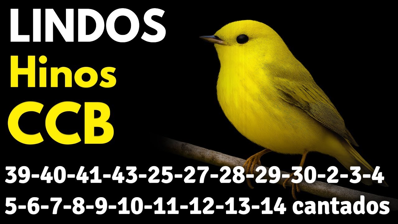 HINOS CCB 39-40-41-43-25-27-28-29-30-2-3-4-5-6-7-8-9-10-11-12-13-14 cantados