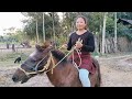 horse vlog indian | riding horse | pony riding horse 😍