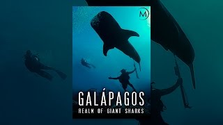Galápagos: Realm of Giant Sharks