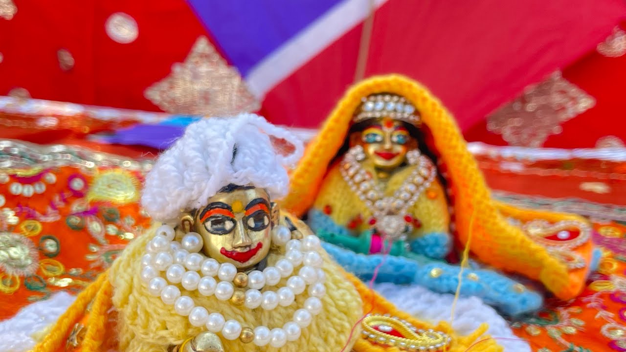 Makar Sakranti Vlog! 