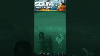 SCUM 1.0v : night hunter