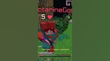 Mega Skywars Hacker Compilation