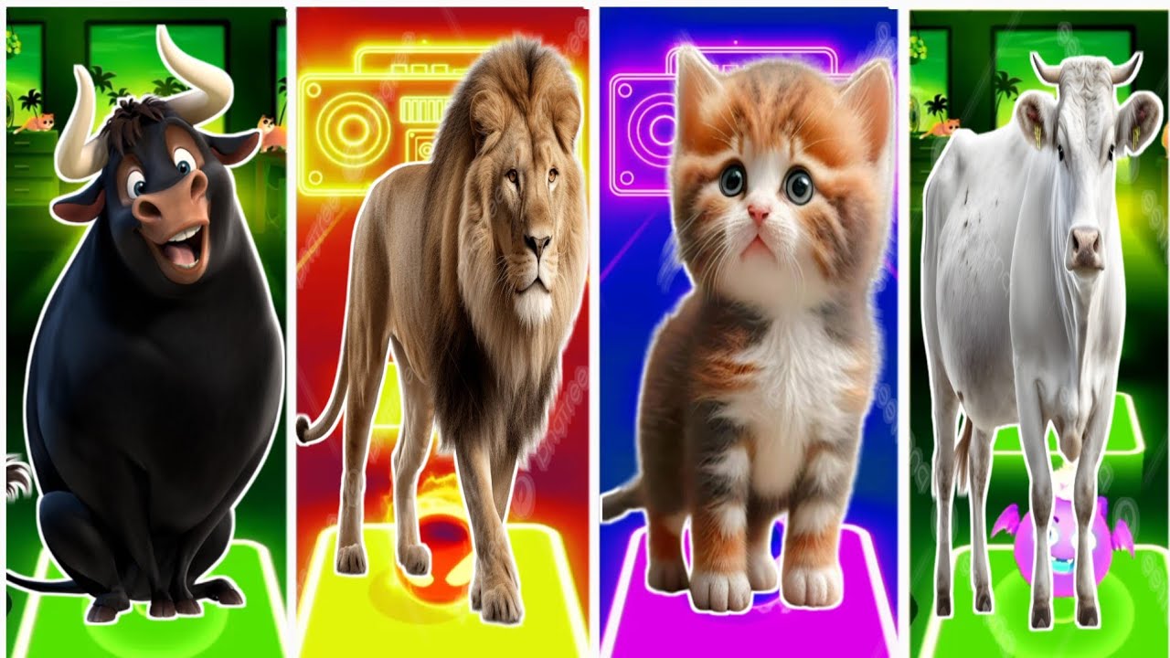 Funny Ferdinand 🆚 Funny Animal 🆚 Funny Cat 🆚 Funny Cow Coffin Dance Song 