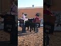 Arizona National Top Prospects! 🌟 Grand & Reserve Calf Champs with Banners