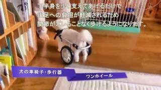 犬 歩行器 【解説付き】