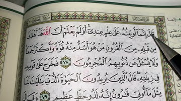 كيف نطبق قواعد التجويد عند قراءة سورة القصص(ج١١)