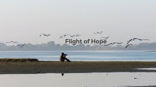 Flight Of Hope Saving Rajasthans Chandlai Lake