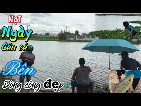 Câu cá trên dòng sông đẹp,ở Cần Giuộc ,Long An | Út Dừa #7