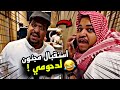 استقبال مجنون لدحومي سنابات مرتضى السلمان