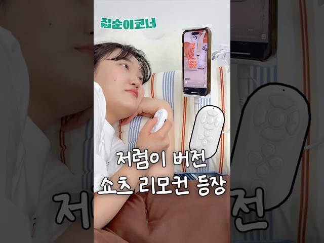 1만원대 저렴이버전 쇼츠 리모컨 등장