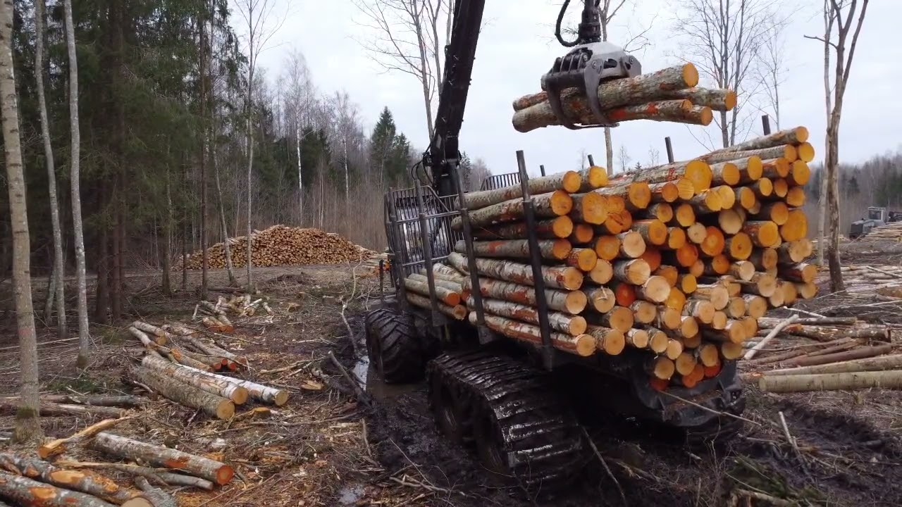 LOGSET in action 🪵 Trygg tracks ⛓️