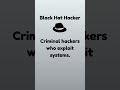 Not all hackers are criminals 👀 #cybersecurity #educationalvideos #facts