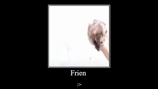 Playing The Stuffmc Smp Minecraft