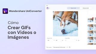 Cómo Hacer GIF con un Video o una Imagen | UniConverter 13 Windows screenshot 4
