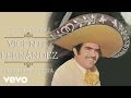 Vicente Fernández - Perdón Madrecita (Cover Audio)