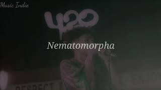 Download Lagu Fourtwnty - Nematomorpha (Lirik) MP3 Download Lagu Fourtwnty - Nematomorpha (Lirik) MP3