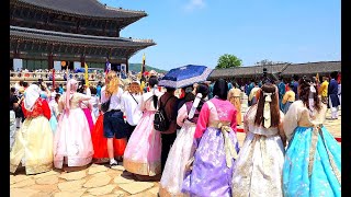 경복궁의 푸르른 계절 한복 입은 외국인들 궁중문화축전 참관  Gyeongbokgung palace Seoul korea Travel