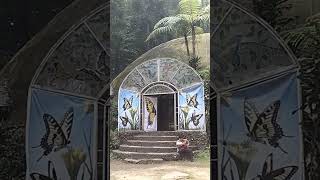 Penangkaran kupu - kupu Cilember puncak bogor
