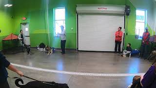 Details Petsuites Fern Creek Dog Training Workshop Update