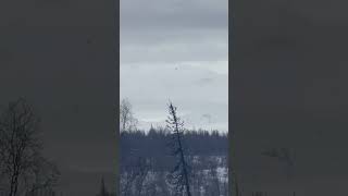 When Denali Disappears Into the Clouds 🌫️