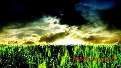 الشيخ محمد اللحيدان تلاوة خاشعة تجلى فيها الإبداع