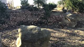 A Poem For You December 25 2021 by Mickey Bohnenstiehl