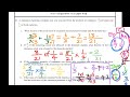 2024 Fractions ➗️❌️| BODMAS🌳| GCE OL Maths🎦| Past paper Revision| Addition in Fractions| Simplify🔺️