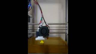 Timelapse Of Koala Printed With Fdm And Klipper Firmware