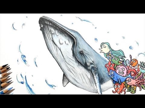 色鉛筆画 クジラを描いてみた 仲間達 Depicting Whales And Their Happy Companions Youtube