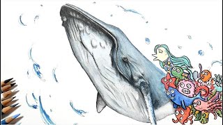 色鉛筆画 クジラを描いてみた 仲間達 Depicting Whales And Their Happy Companions Youtube