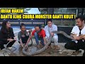 AKHIRNYA KING COBRA BESAR INI GANTI KULIT | SPESIAL FEAT DEHAKIMS