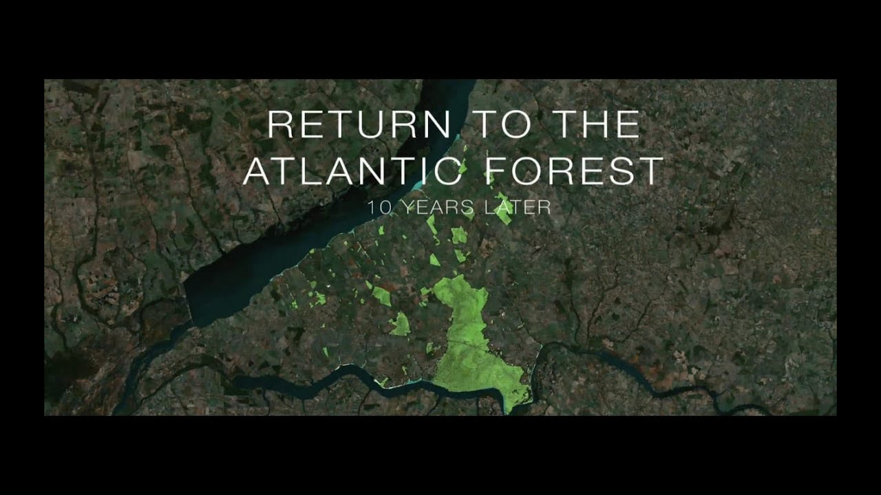 RETURN TO THE ATLANTIC FOREST ... 10 YEARS LATER!