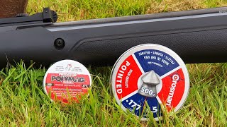 crosman vital shot testning whitch pellets works the best