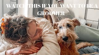 WATCH THIS BEFORE YOU START A DOG GROOMING BUSINESS |mistakes I made| dog grooming| self employed