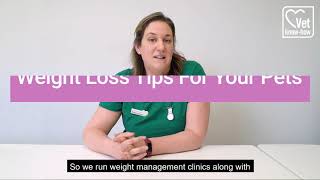 Weight loss tips for your pets
