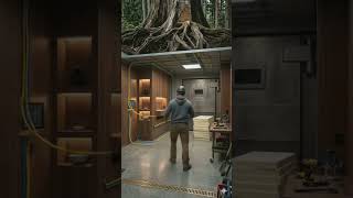 GIANT TREE STUMP TO LUXURY BUNKER #aivideo #cartoon #ecologicalbalance