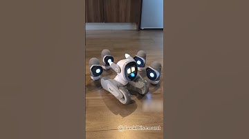 Loona Robot With Friends Clicbot Robots #loona #loonapetbot #loonarobot #airobot #petbot #petrobot