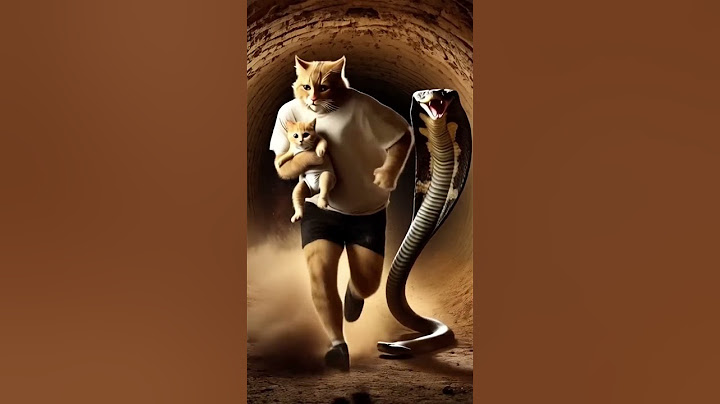 kitten found treasure 🙀 #cute #cat #cartooncats