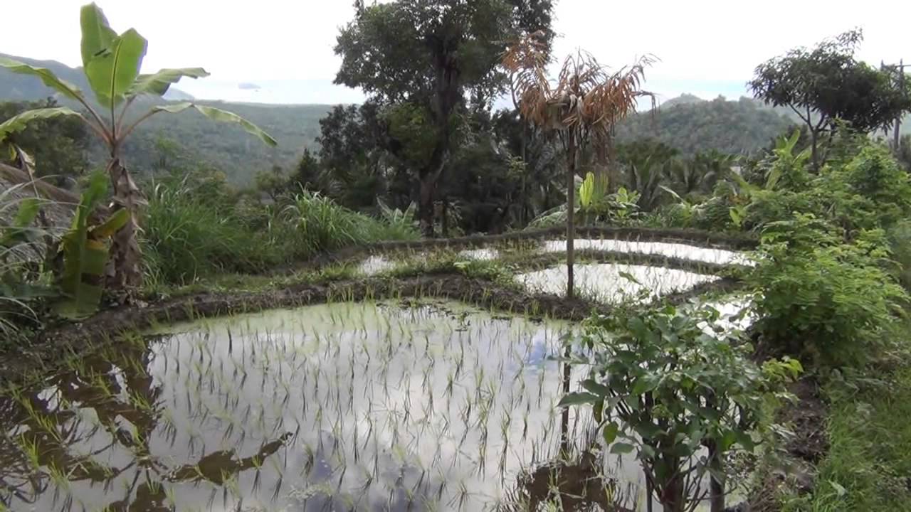 Best of - walks - YouTube