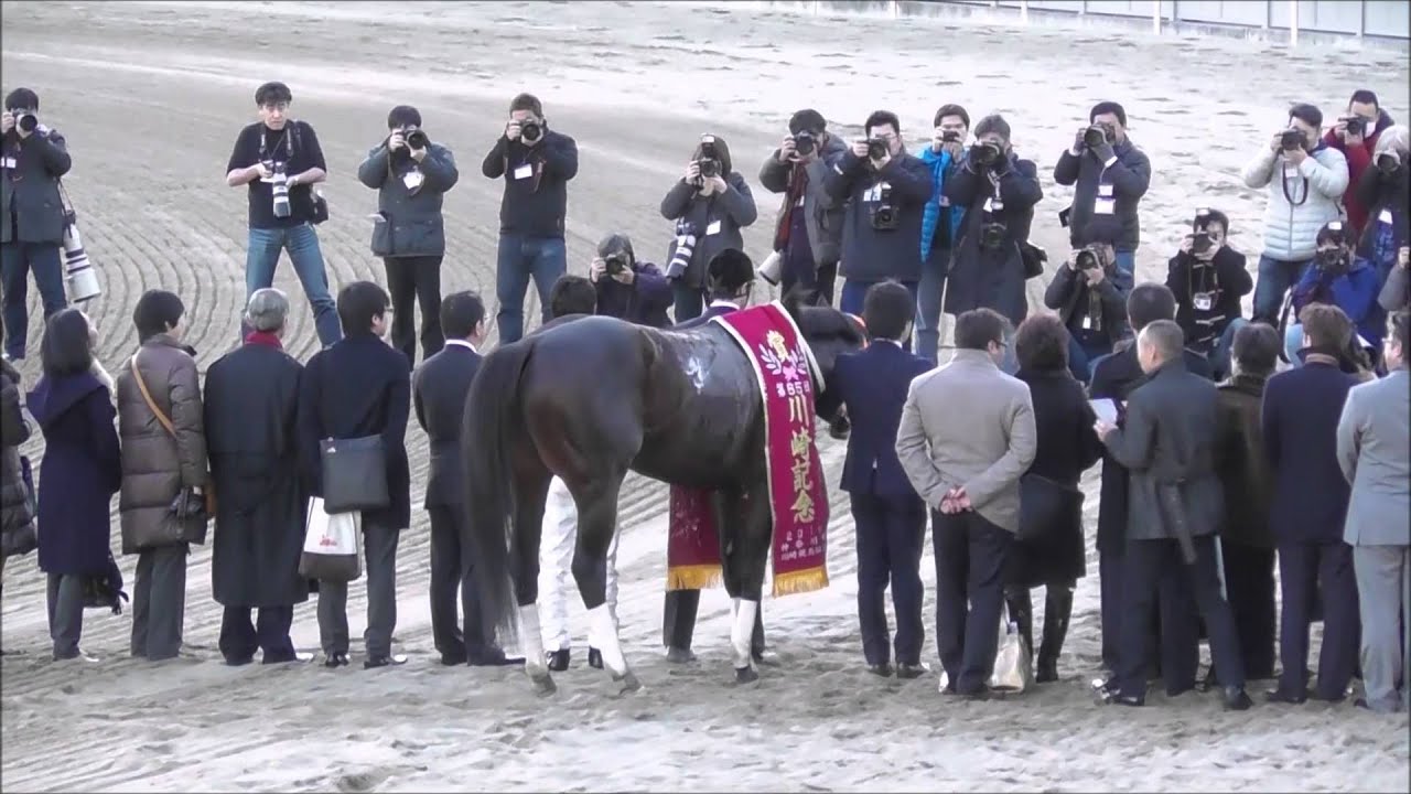 2016 1/27 第65回 川崎記念（JpnI） ウィニングラン～口取り～勝利