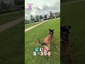 GUN 29200 Brest partie 1