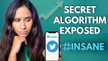 Exposing how the Twitter Algorithm actually works