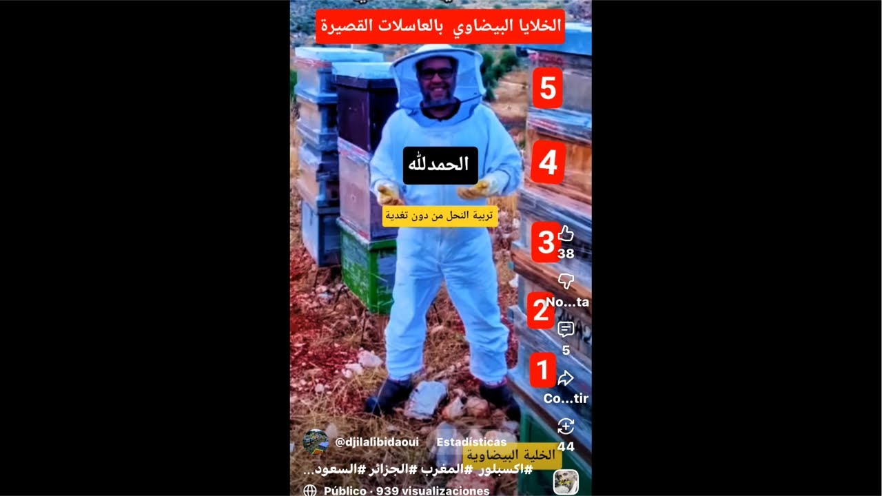 نصائح جد جد مهمة لسنة استثنائية  في تربية  النحل مع تساقطات مسترسلة