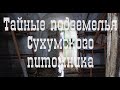 Тайные подземелья Сухумского питомника \ Что скрывается под ногами туристов