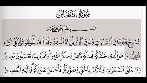 (64) سورة التغابن | شيخ الزين محمد احمد