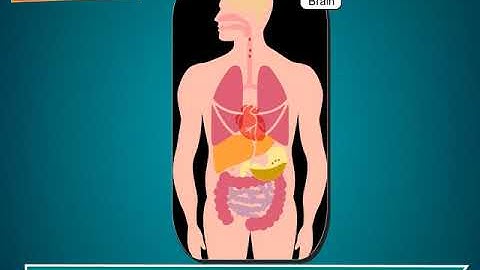 Incredible Science Class 2-Chapter 5-Page Number 51