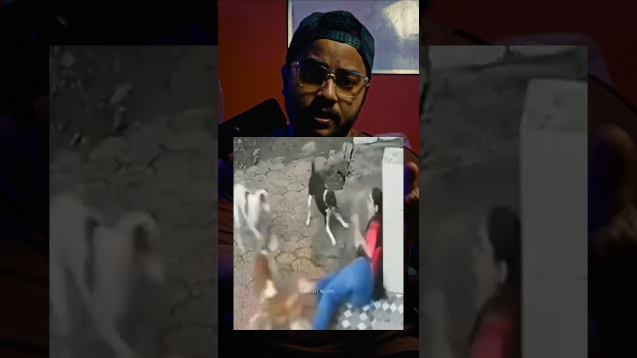 Street dogs in this country are at risk 