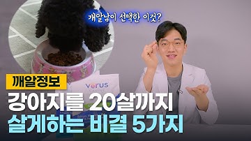 강아지를 20살까지 살게하는 5가지 방법! (ft. 베루스 사료)