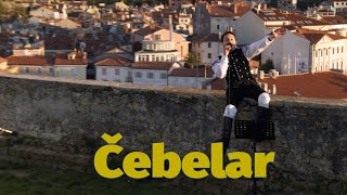 Modrijani - Čebelar (V ŽIVO)